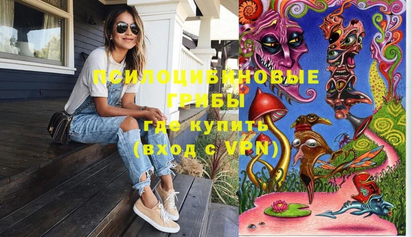 гидропоника Алзамай