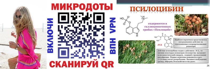 где можно купить наркотик Карпинск Псилоцибиновые грибы мухоморы