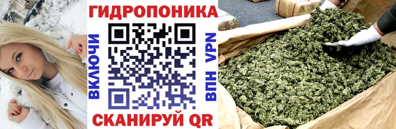продажа наркотиков  Карпинск  Бошки Шишки MAZAR 